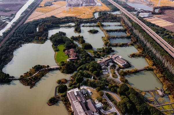 昆山天福国家湿地公园生物多样性智慧观测系统开启数智新时代