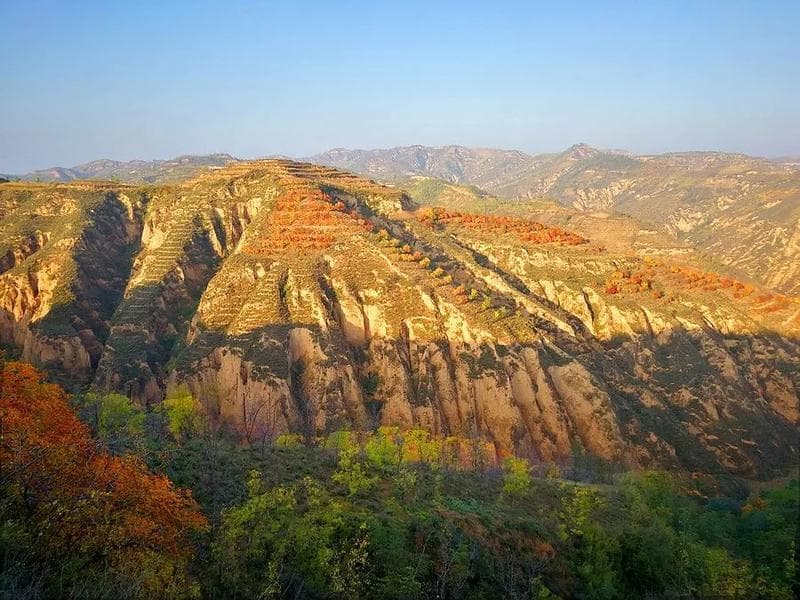 黄土高原，父爱如山
