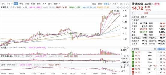 氯化钾、碳酸锂产销量齐增，盐湖股份上半年盈利22.12亿元｜解码中报