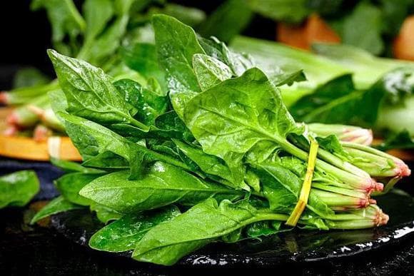 什么食物不能和菠菜一起吃？提升菠菜的营养价值，避免身体不适