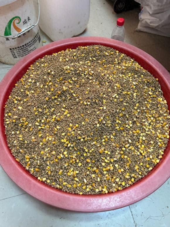 夏季野钓窝料推荐，便宜简单鱼爱吃，大鱼陆续进窝