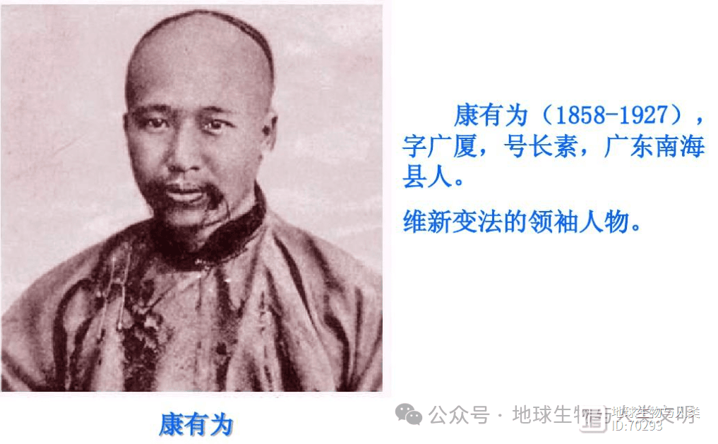 戊戌变法：一场失败的维新运动