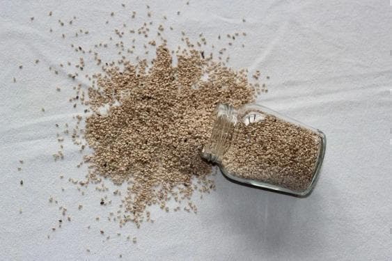 亚麻籽可用于控制高血脂症