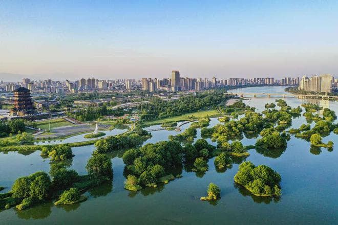汉中湿地公园成候鸟天堂，河湖长制助力生态蝶变
