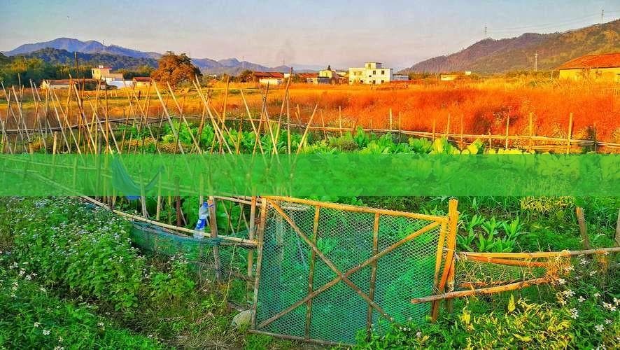 海南岛民俗旅游攻略：深度体验热带岛屿的文化魅力