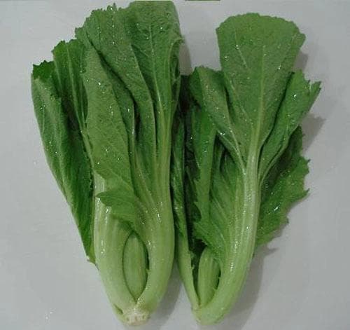 芥菜的功效与作用，芥菜怎么做好吃又有营养价值？