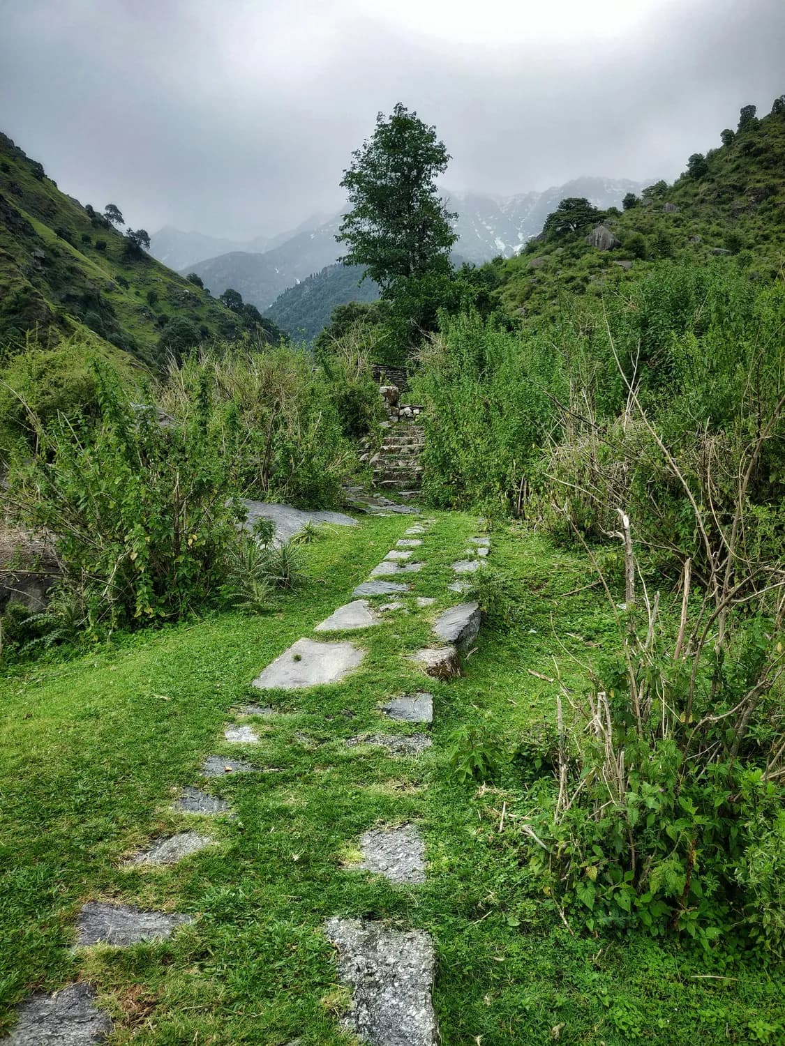 秋冬徒步哀牢山茶马古道全攻略