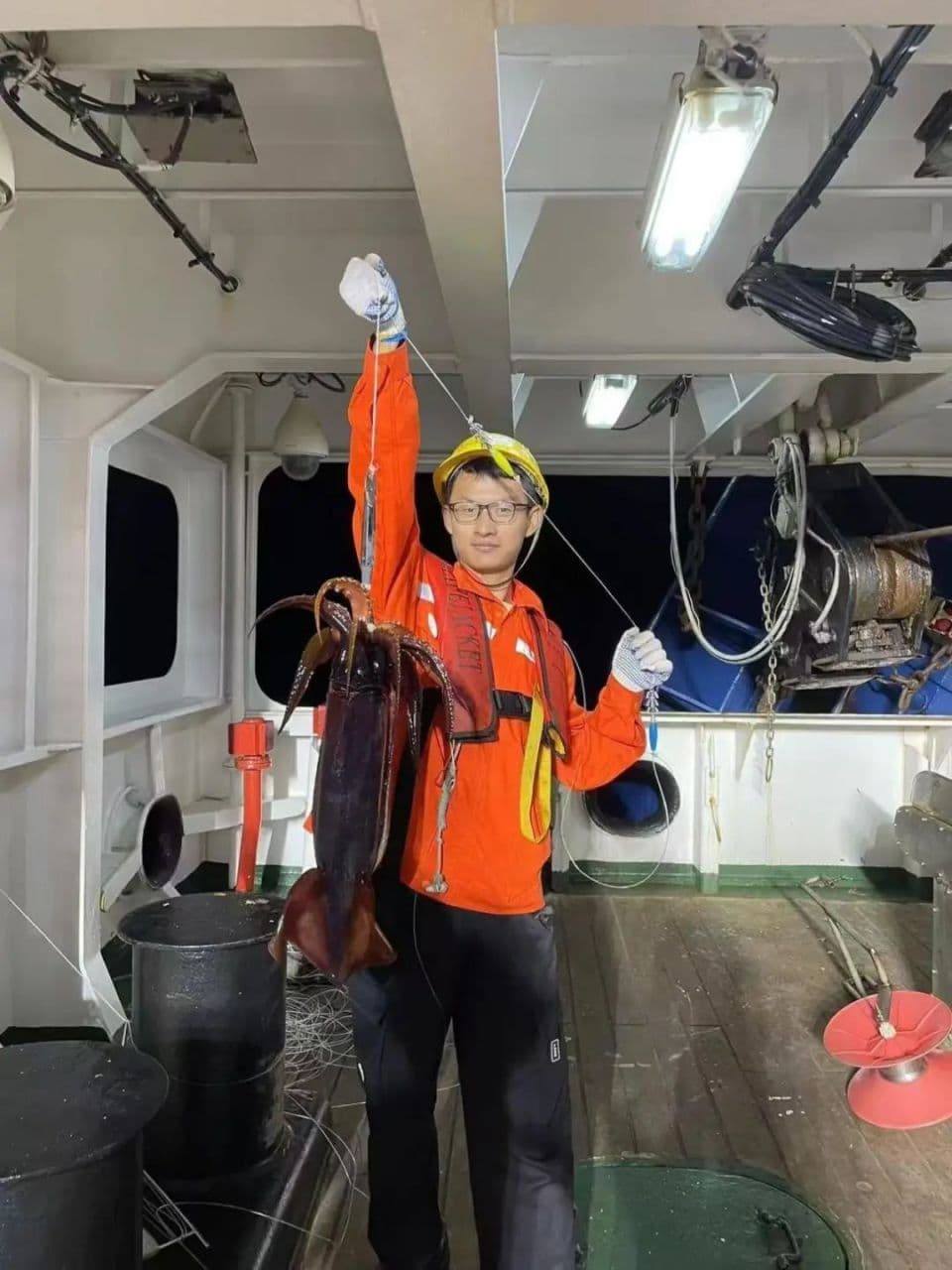 每条鱿鱼都有自己的“私人菜单”！口味还越大越“挑剔”