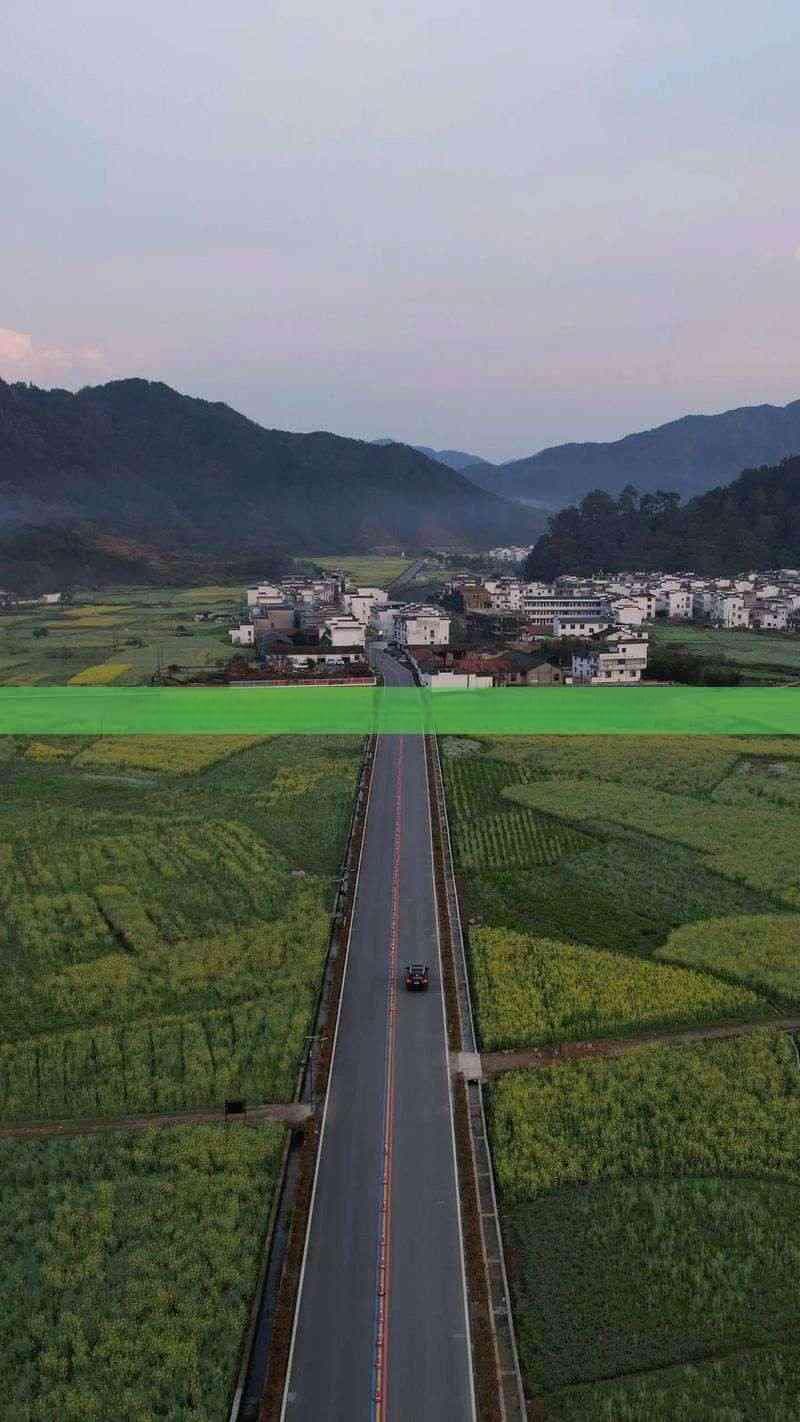 海南与青岛：谁更适合宜居生活——气候、环境与生活品质对比分析