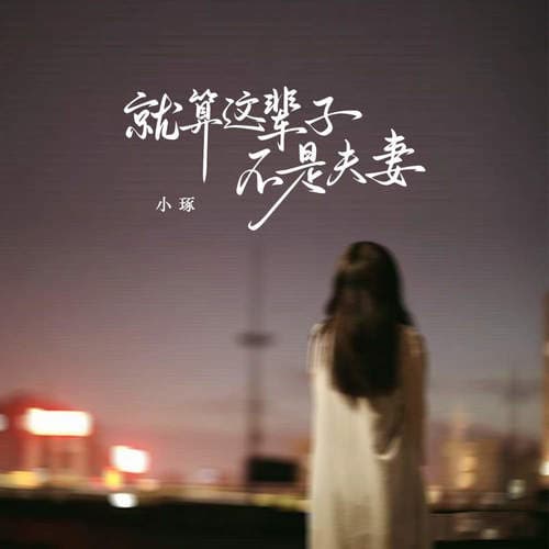 就算这辈子不是夫妻(DJ阿能版)