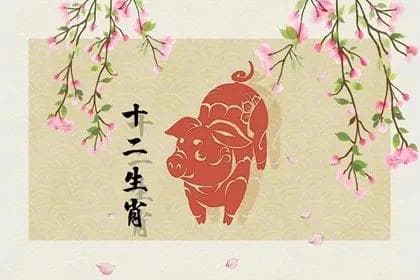 2024年12月属猪人运势解析：八大运势全面解读
