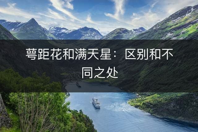萼距花和满天星：区别和不同之处