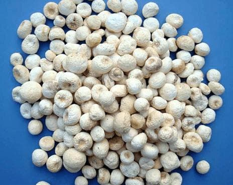 单味中药—25种单味中药秘方！