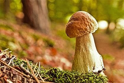 八字命理哪个派准确率高？八字命理派别的比较分析