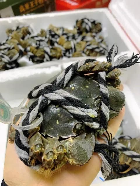买螃蟹时，只要学会这3招，老板一看是“行家”，便不敢忽悠你