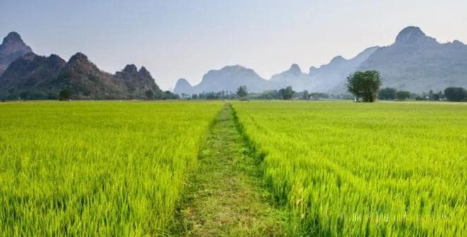 不是迷信“立春要躲藏，不能床上躺”，5人要躲春，分别指哪5人？