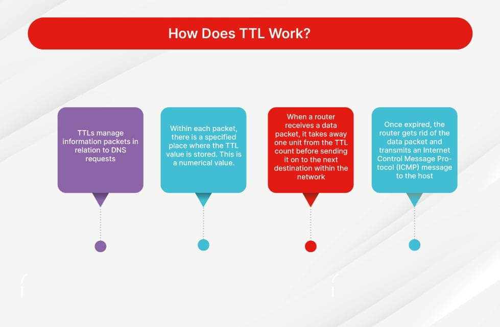 什么是生存时间（TTL）？ DNS TTL 含义