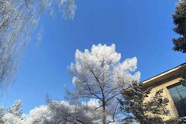 各地数九歌谣合集：一九二九不出手，三九四九冰上走