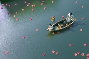 嫩豆腐如何保存：保鲜技巧与美味延续的秘诀