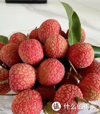 荔枝品种大观：六种常见荔枝的风味对比