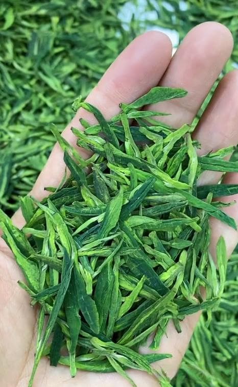 不同茶叶的保质期，你都知道吗？
