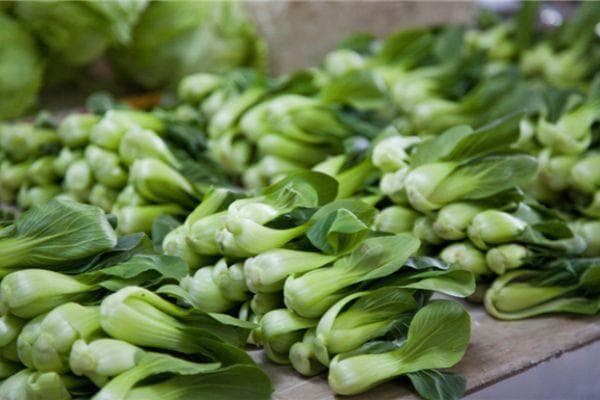 油菜的功效与烹饪：从古至今的营养价值与食用指南