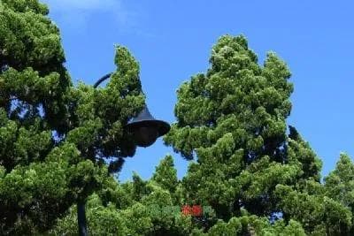 武汉市蔡甸区文物古迹介绍