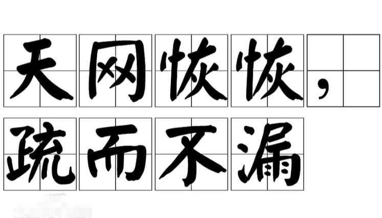 天网恢恢，疏而不漏：成语背后的智慧与启示
