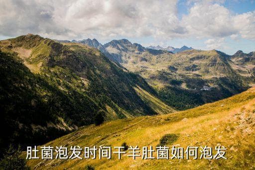 干羊肚菌泡发全攻略：时间、方法和注意事项
