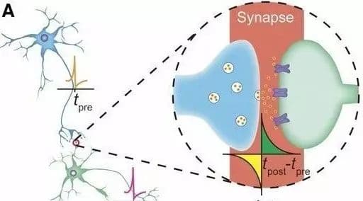 牛津大学研发类脑光子芯片，运算速度超人脑1000倍