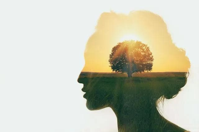 如何从‘思想幼稚’升级到‘心智成熟’？