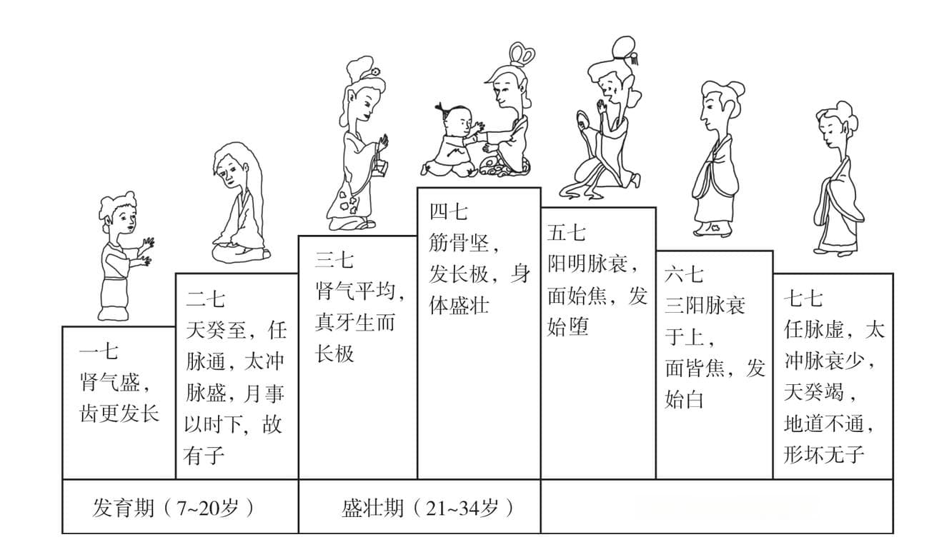 中医养生保健学：理论与实践的完美结合
