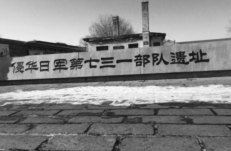 731真相：揭露被遗忘的呐喊，震撼历史记忆！