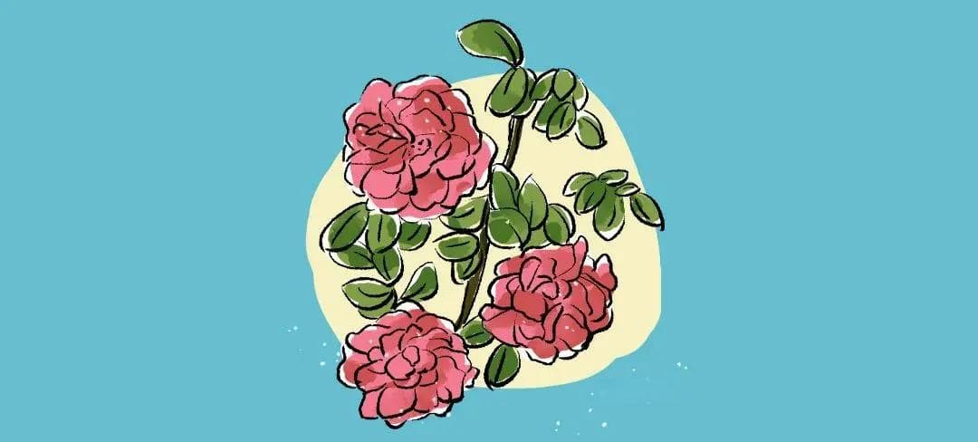 如何帮孩子过个充实的暑假？最全、最实用的暑假计划来啦