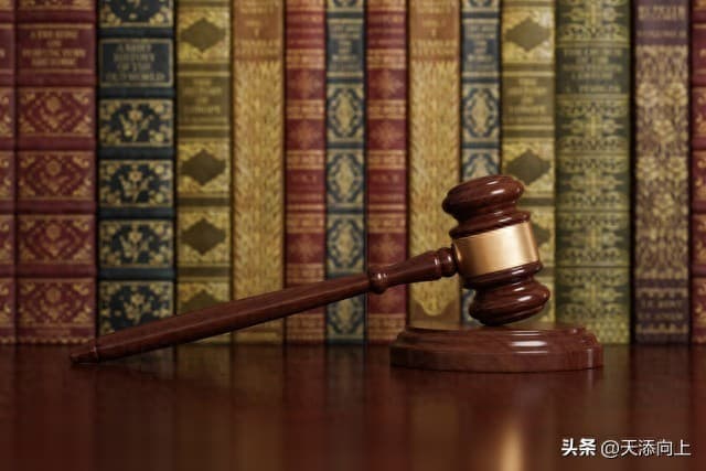 想成为律师？这些法律是你的必修课！法学院全科指南