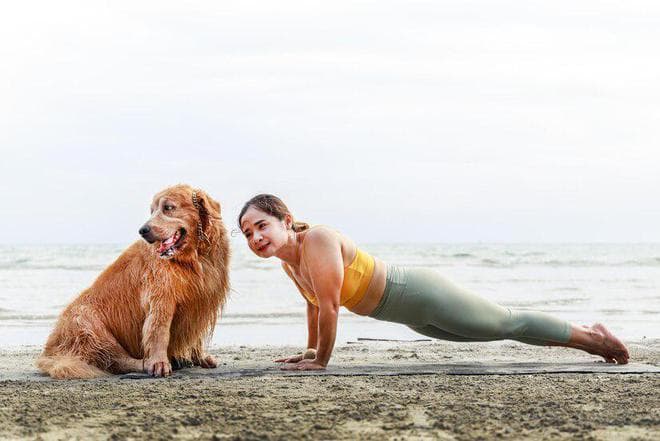 金毛犬饲养指南：从饮食到医疗的经济适用方案