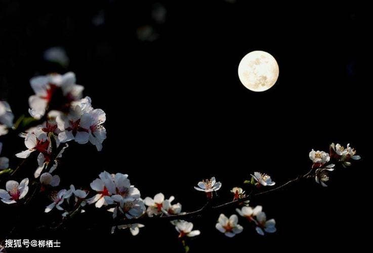 “春色恼人眠不得”：王安石的春夜与政治抱负