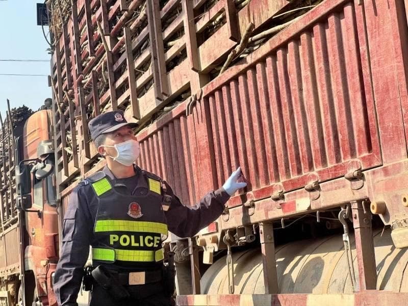 磨憨边检站完成甘蔗跨境运输任务，保障133万吨老挝甘蔗入境