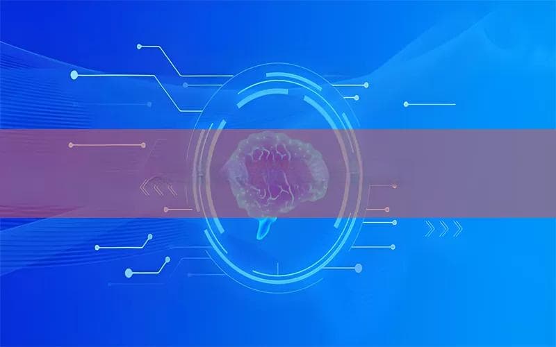 比特币账号密码遗忘怎么办？多种实用解决方案帮你找回数字资产