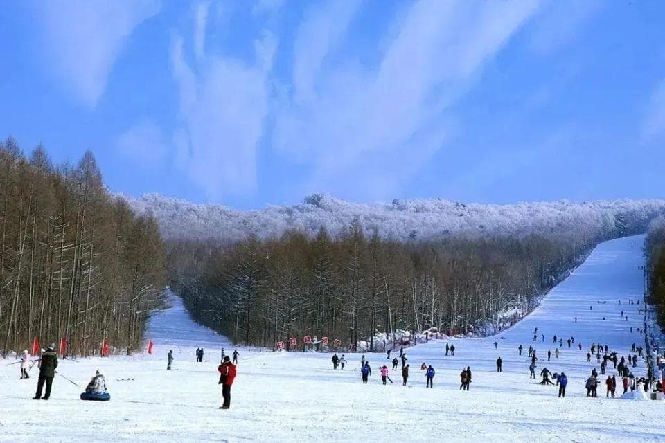 寒假嗨玩指南 | 伊春冬季旅游一站式攻略