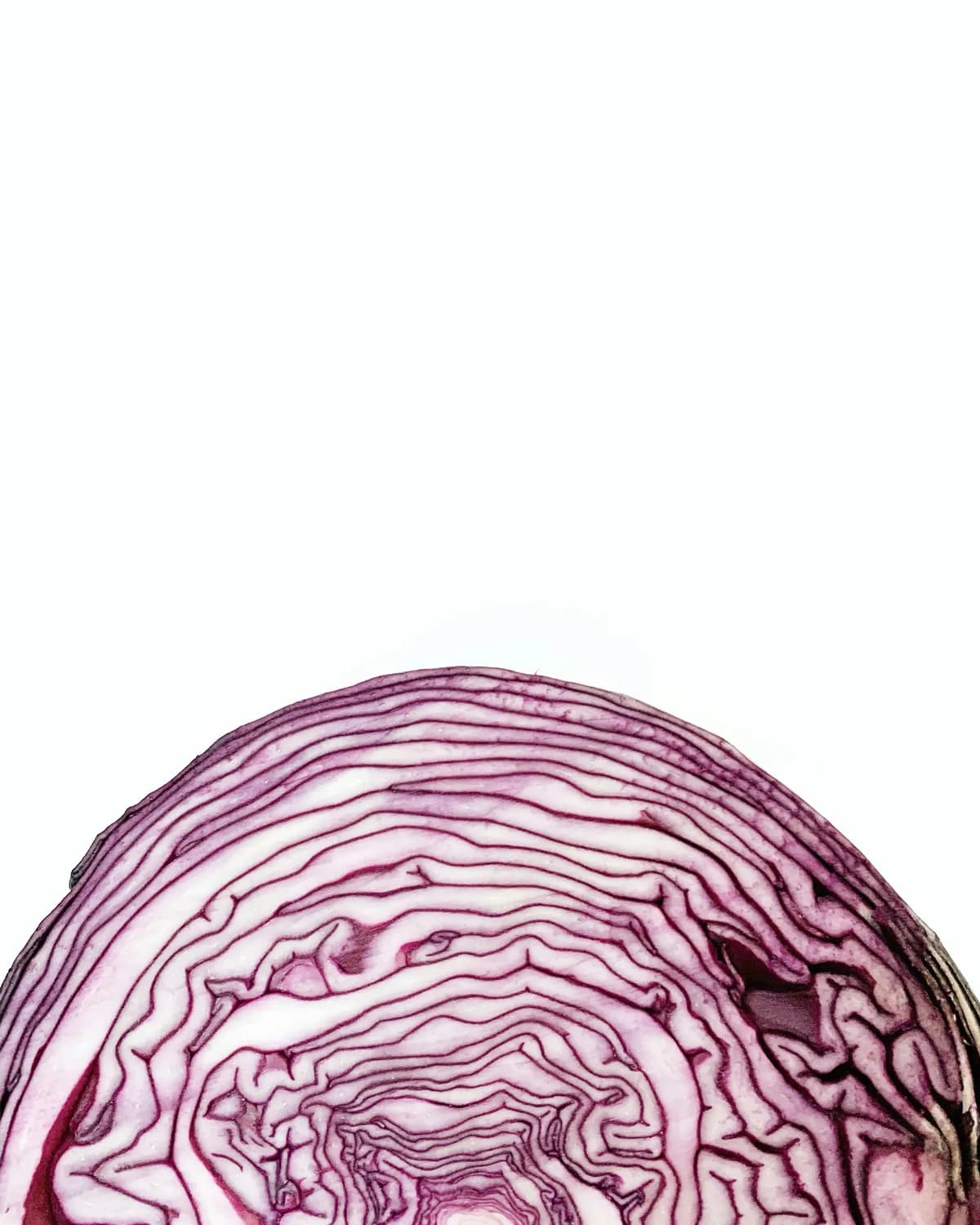 秋冬养生必备：紫甘蓝的神奇功效与食用指南
