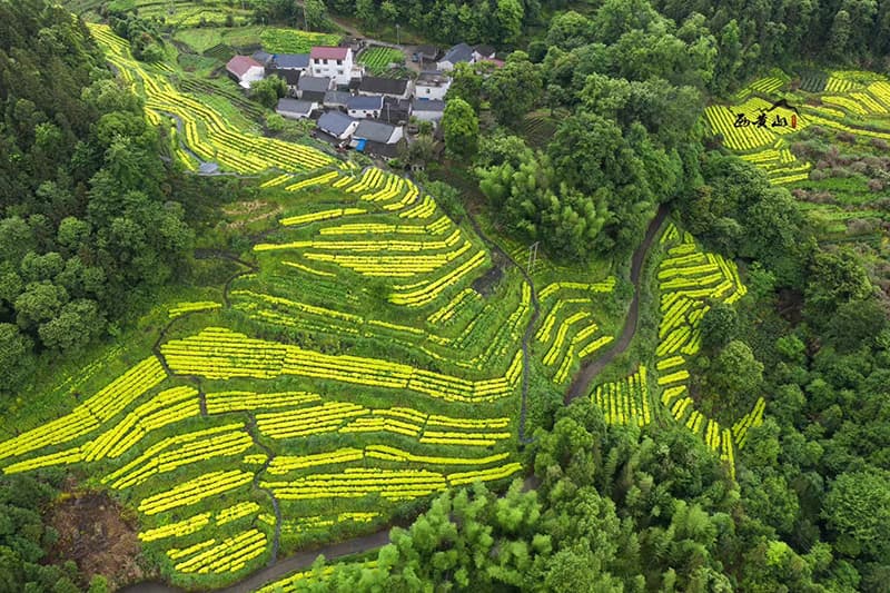 醉美茶乡 生态硒都石台之旅