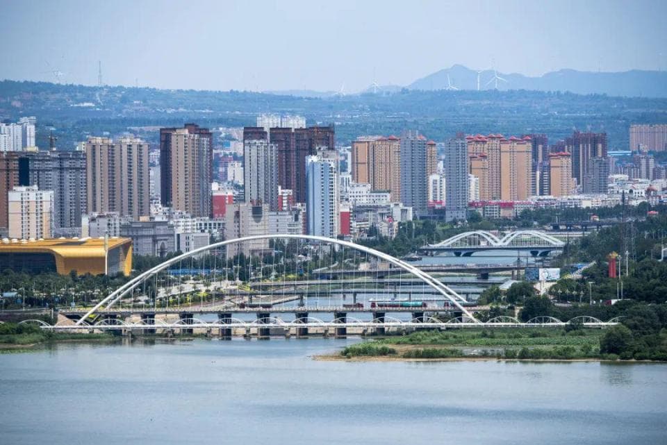 据说，全国三分之二的天鹅都“奔”这儿来了？