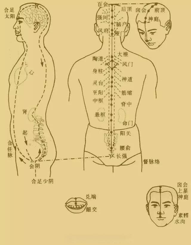 九大针灸方详解：从手足十二针到督脉十三针