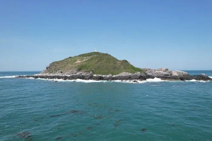 北回归线上的海岛保护