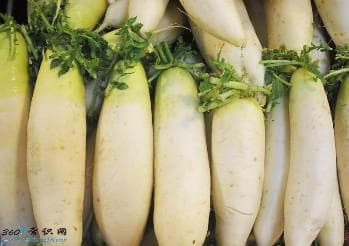 白萝卜的功效与作用：营养价值与药用价值全解析
