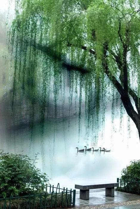 《忆江南》的诗意解析