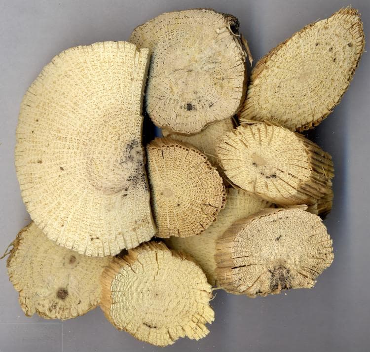 关木通：传统中药材的全面解析
