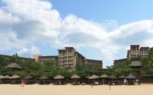 亚洲最大椰子园落户海南文昌，打造特色文旅新地标