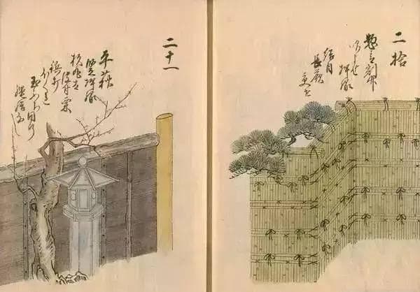篱落之美：国画中的自然与人文情怀